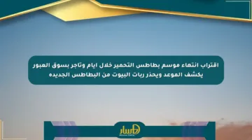 اقتراب انتهاء موسم بطاطس التحمير خلال أيام وتاجر بسوق العبور يكشف الموعد ويحذر ربات البيوت من البطاطس الجديدة